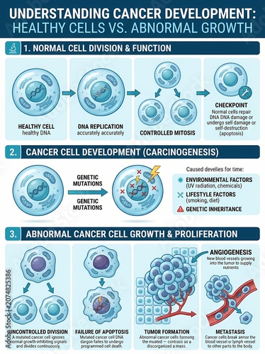 Exploring the Crucial Differences Between Healthy Cell Division and Abnormal Cancerous Growth