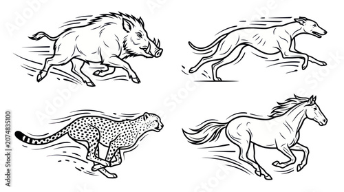 Photography Wild animals and domestic animals running, speed illustration