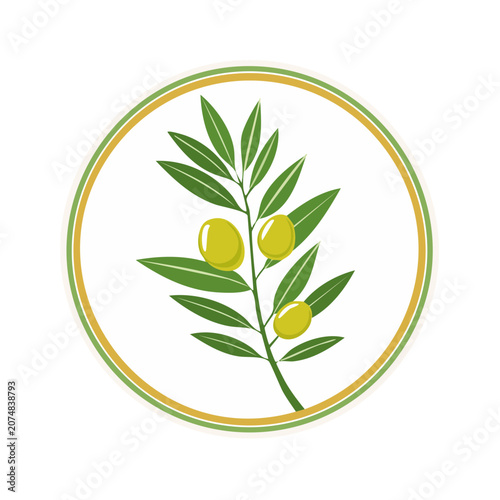 Olive branch with olives in circular frame vector illustration