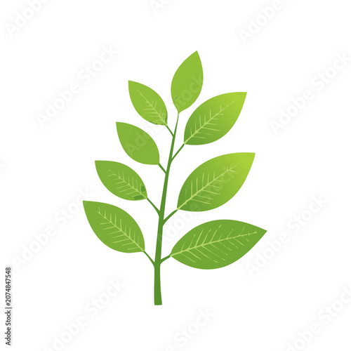 Green Leaf Branch Vector Illustration