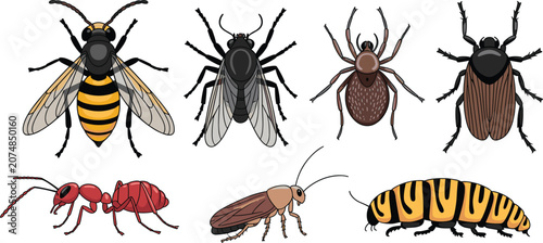 Cuadro en lienzo Cartoon insects and bugs collection vector illustration, isolated wild creepy pe