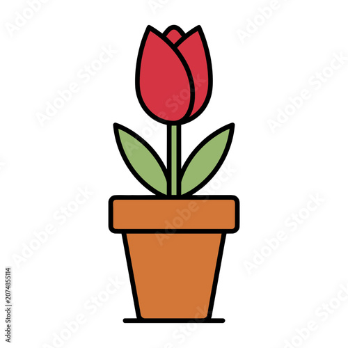 Red tulip in terracotta pot flat vector illustration
