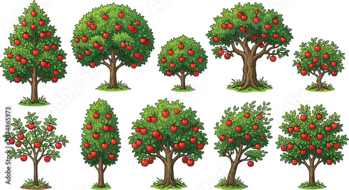 Cuadro en lienzo Apple tree collection illustration featuring different orchard tree shapes with
