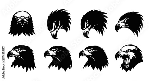 Bild auf Leinwand Eagle Heads Various Expressions.