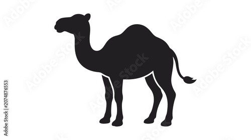Tablou pe pânză camel silhouette on white background animal wildlife desert hump vertebrate mamm