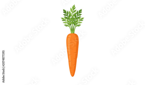 Fotografie Fresh carrot illustration