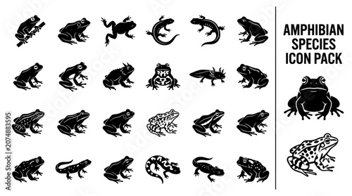 Vector silhouette set of various amphibian species including frogs, toads, salamanders, and newts, isolated on a white background