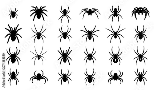 Billede på lærred Premium black spider silhouette vector collection with diverse arachnid shapes i
