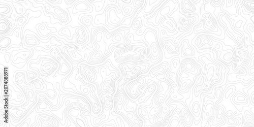 Bild auf Leinwand Abstract line art white background vector