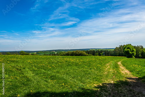 Green meadow with dirt path under blue sky