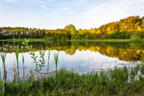 Haidweiher forest lake near Amberg in Bavaria Germany