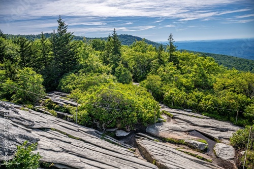 Canvastavla rough ridge lookout, NC