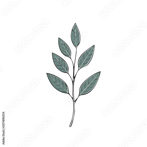 Flat illustration of a leafy branch with green leaves
