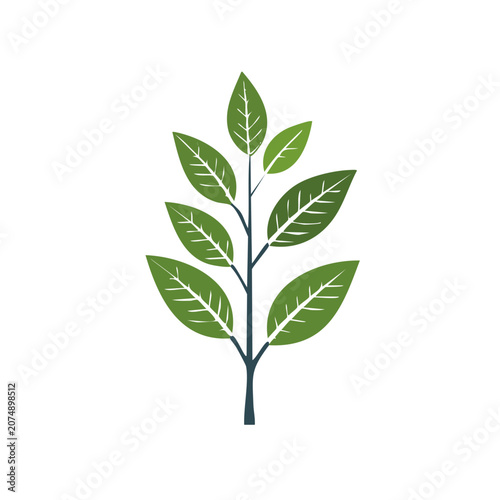 Flat illustration of a green leaf branch