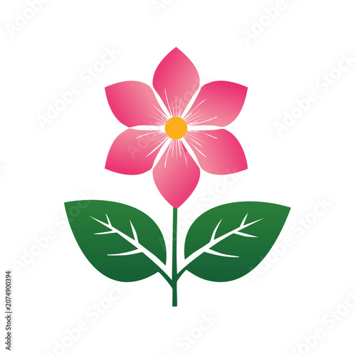 Pink flower with green leaves vector illustration