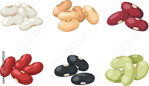 Assorted raw kidney beans and pulses collection for healthy food diet.