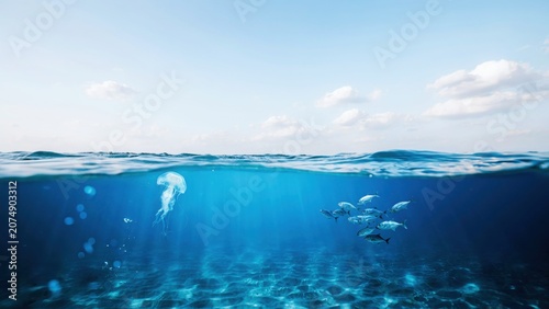 Under and over water split view featuring jellyfish and school of fish in clear blue tropical ocean.
