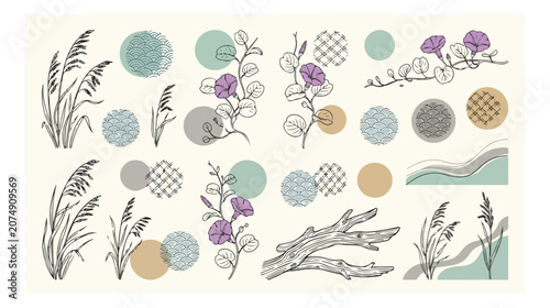 Fotografie Botanical vector collection, hand-drawn nature elements, elegant floral illustra