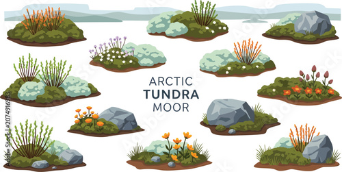 Bilde på lerret Collection of eleven illustrated Arctic tundra plant and rock clusters isolated