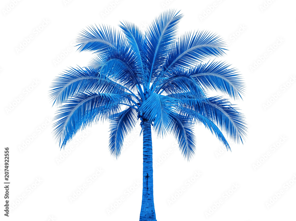 Fototapeta premium Vibrant blue palm tree featuring textured brown trunk and lush colorful fronds isolated against a clean white background created with digital 3d rendering techniques for artistic tropical design proje