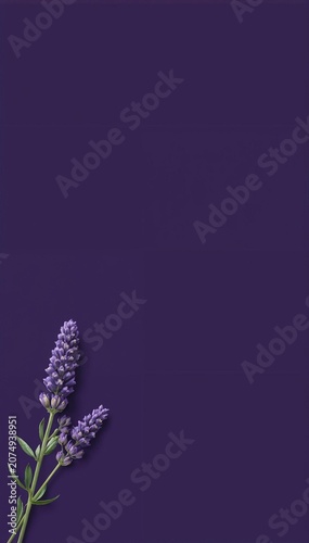 An elegant and soothing watercolor illustration featuring a bunch of fresh lavender flowers laid horizontally along the bottom of the frame. The lavender blossoms are depicted with exquisite detail—sh