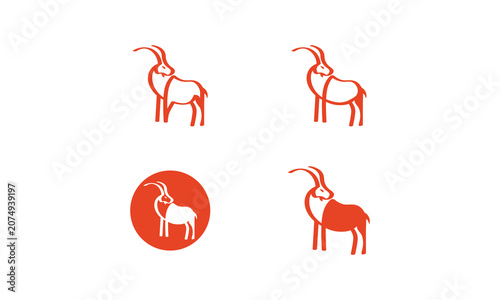 Simplified Illustration of the Morphology of the Goat