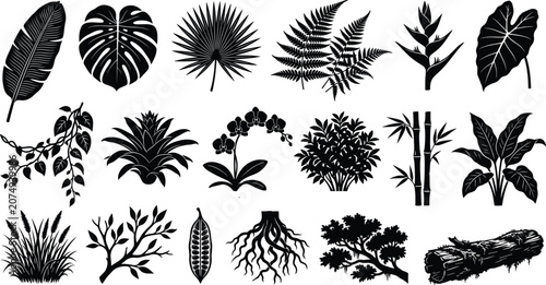 Photos Tropical Plants and Jungle Botanical Black Silhouette Icon Set with Monstera, Pa
