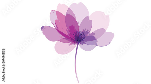 Foto Beautiful purple flower with semi transparent petals and delicate stem isolated