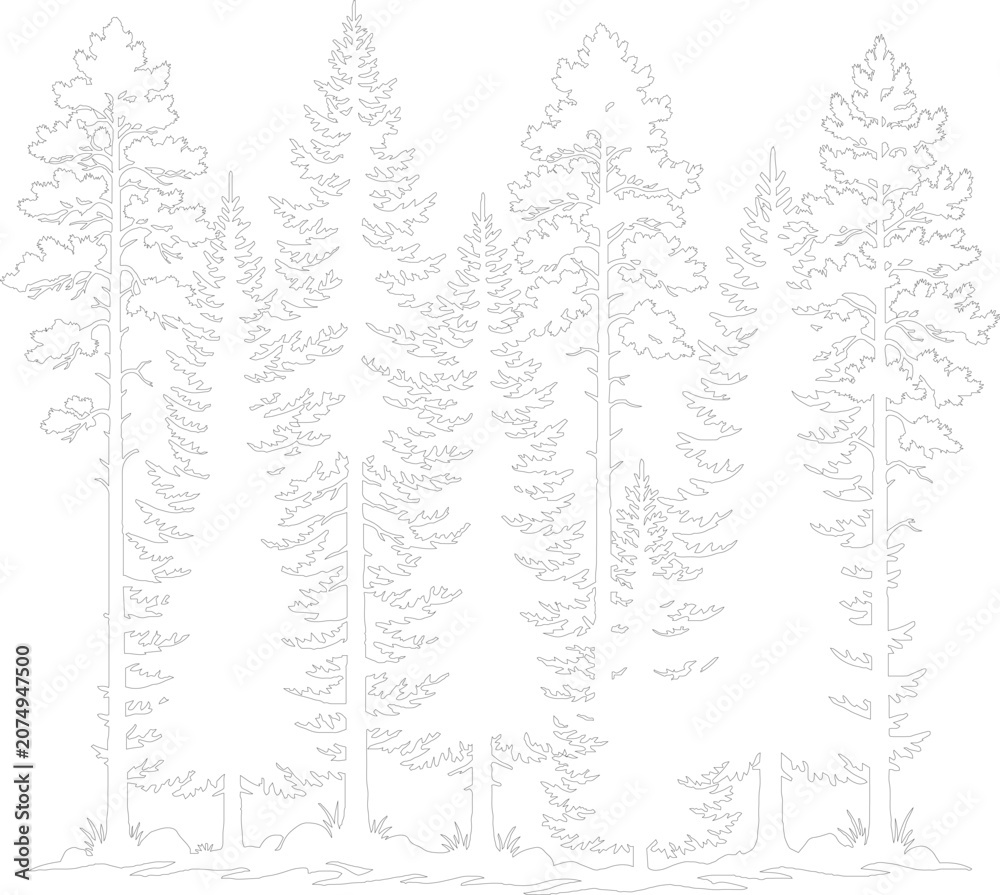 Obraz premium Minimalist pine forest line art vector, evergreen tree silhouette outline, coniferous woodland landscape illustration for nature branding