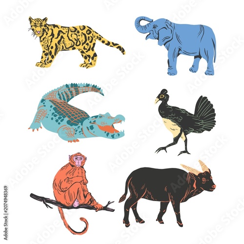 Photography wild animals collection