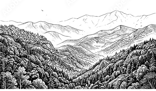 Great Smoky Mountains Summer Landscape Vector with Appalachian Forest Hills and Scenic Mountain Layers