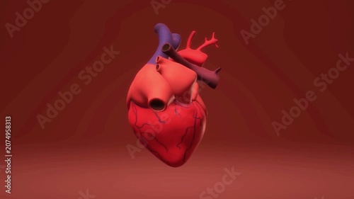 Realistic 3D Model of a Pumping Human Heart Rotating 360 Degrees, Cardiovascular Anatomy and Healthcare Concept