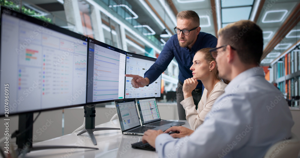 Naklejka premium Experienced ERP Consultant Leads Diverse Team