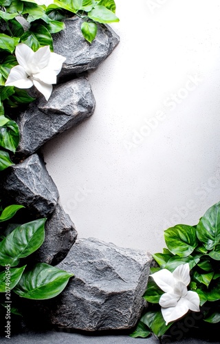 Close up of gray stone texture with green leaves and white flowers on light background
