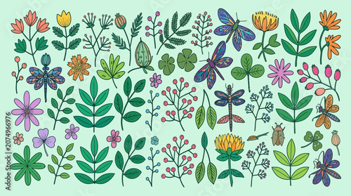 Conjunto de ilustrações botânicas desenhadas à mão com flores coloridas, folhas variadas, libélulas e elementos da natureza em um estilo artístico e decorativo sobre fundo verde claro.
