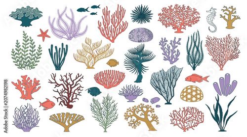 Set di illustrazioni vettoriali piatte raffiguranti vari tipi di coralli colorati, alghe marine, pesci tropicali e creature dell'oceano isolate su uno sfondo bianco pulito