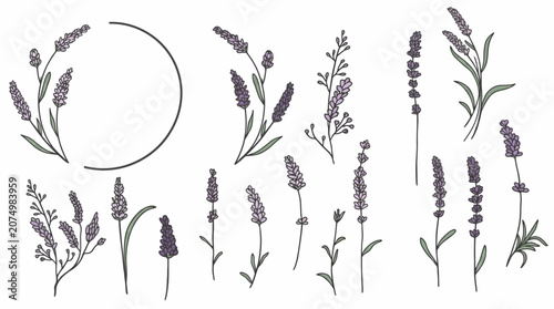 白背景に配置された手描きのラベンダーの花のイラストセットで、繊細な線画と淡い紫色のカラーリングが特徴的な、ボタニカルデザインやウェディング招待状の装飾に最適なエレガントな素材コレクションです。