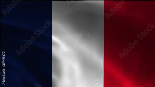 Motion Banner National Saint Martin Fluttering Loop Rendering Symbol Pennant Patriotism Republic Breeze Textile Texture Movement Flag