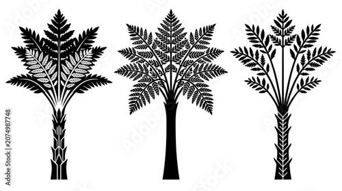白背景に配置された3種類のスタイリッシュなヤシの木とシダ植物のシルエットイラストセットで、トロピカルな雰囲気や自然をテーマにしたデザインプロジェクトに最適なベクターグラフィック素材です。