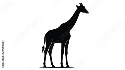 Billede på lærred Giraffe Silhouette Against A White Background Minimalist Animal Shape Silhouette