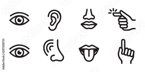 Konstfotografi Collection of five senses icons eye ear nose mouth hand showing perception concept vector set