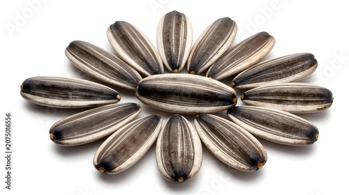 Sunflower seeds arranged in circular pattern on white background for food and nutrition