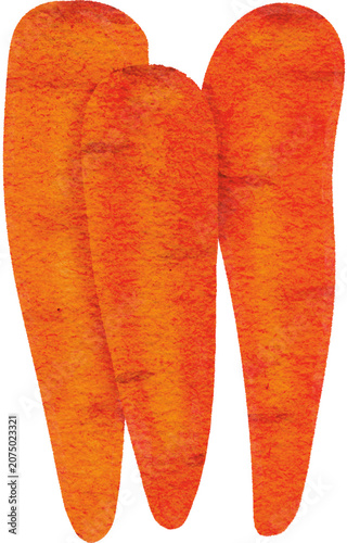 Hand painted watercolor orange carrots illustration isolated on black background
