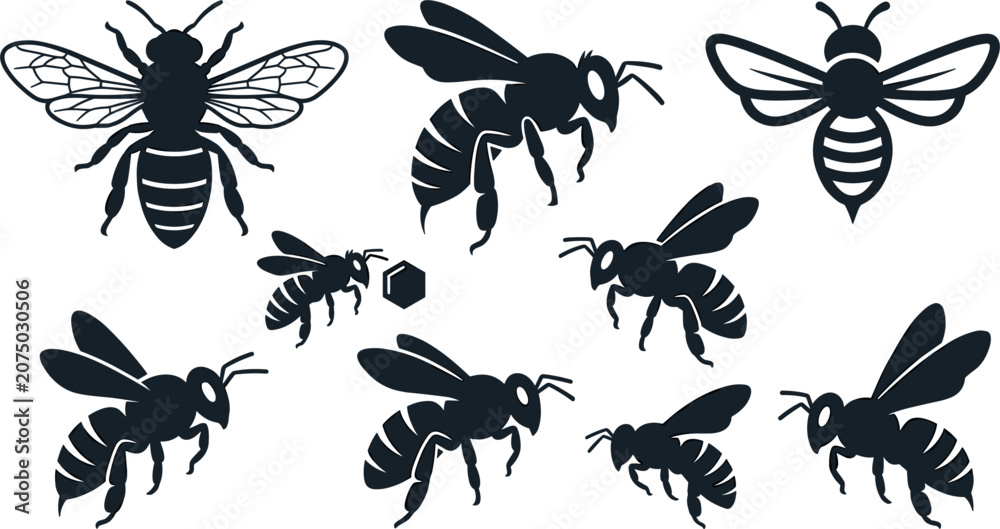 Fototapeta premium Honey Bee Silhouette Icon Set with Flying Bumblebee and Honeycomb Elements for Organic Honey Branding and Logo Designs