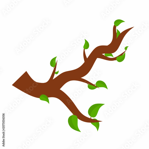 Vector illustration of a tree branch with green leaves on a white background.