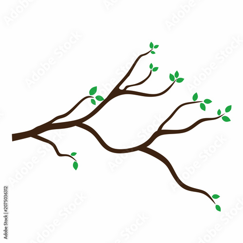 Vector illustration of a brown tree branch with green leaves on a white background. Ideal for nature-themed stickers or posters.
