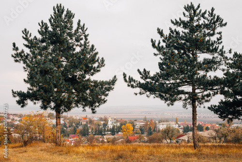 Two green pine trees in the foreground with a small village visible between them.