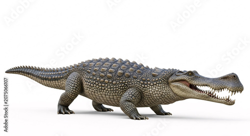 Realistic Crocodile Isolated on White Background Full Body Reptile