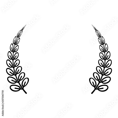 Flower Border