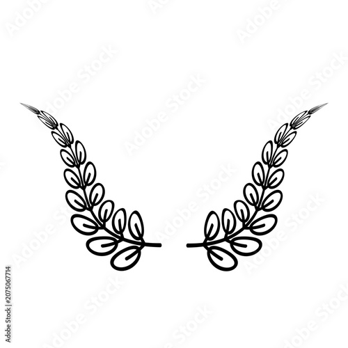 Flower Border